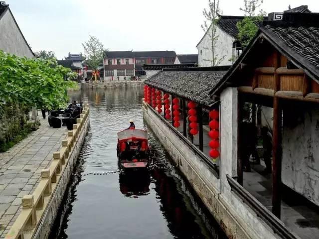 破碎的动物图形3