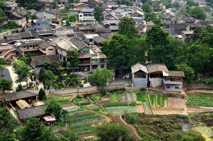 模拟山羊